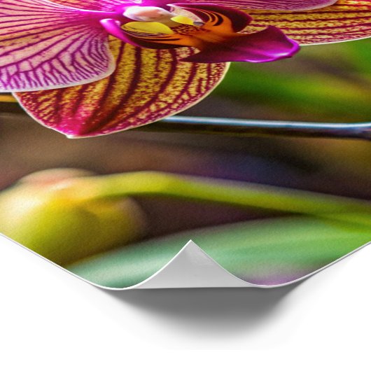 オーキデアートウォール ポスター (角)