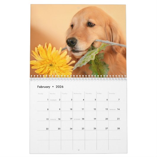 オーギーとティの2022ゴールデンレトリバー犬カレンダー カレンダー (2月 2026)