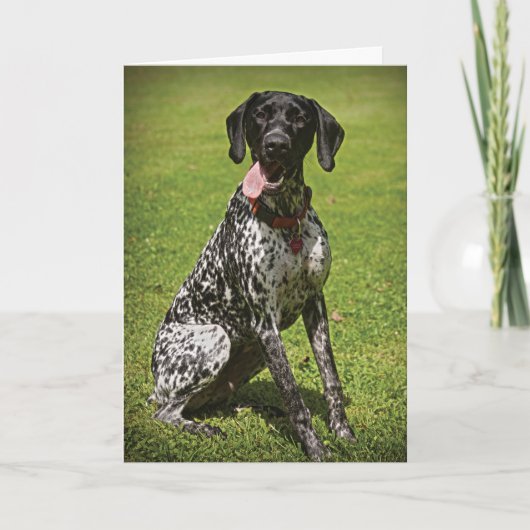 オーギーサンキューカード サンキューカード (正面)