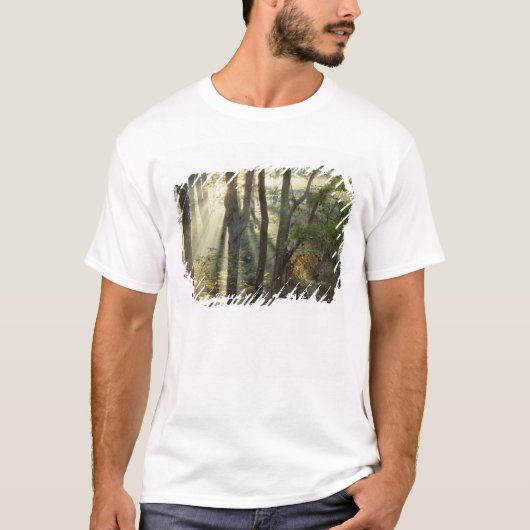 オークとヒッコリーの森からの日の出、 Tシャツ (正面)