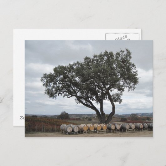 オークとワイン樽、ドゥルセ・ロブレス ポストカード (正面/裏面)