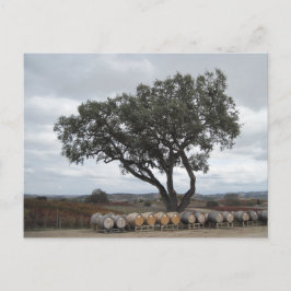 オークとワイン樽、ドゥルセ・ロブレス ポストカード