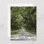 オークのアベニューの感謝カード ポストカード (正面/裏面)