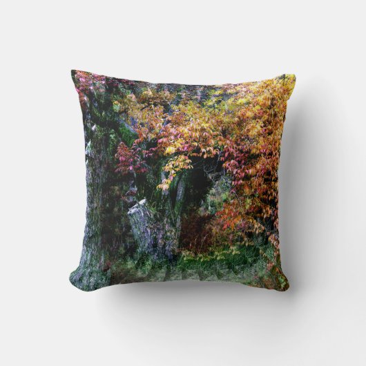 オークの古木…... クッション (正面)