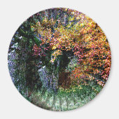 オークの古木…..... マグネット (正面)