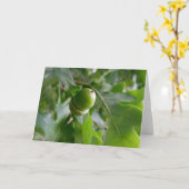 オークの実 カード (黄色い花)