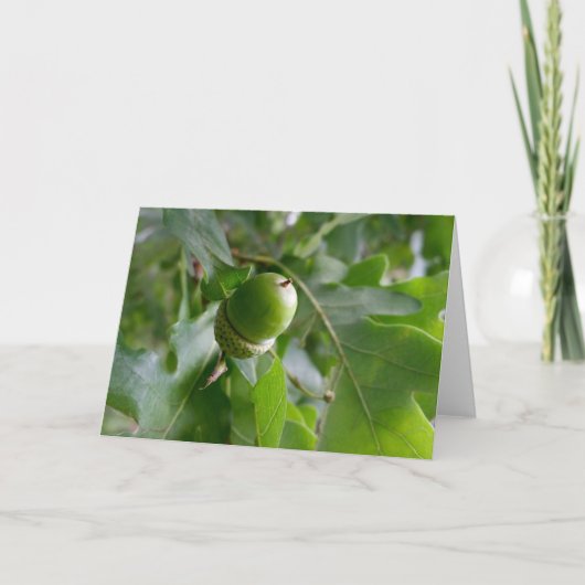 オークの実 カード (正面)