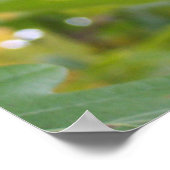 オークの木に生えた雄大なドングリ ポスター (角)