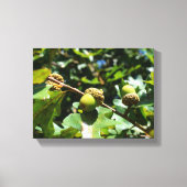 オークの木の上に成長するドングリ キャンバスプリント (正面)