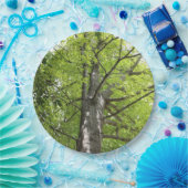 オークの木の上 ペーパープレート (パーティー)