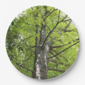 オークの木の上 ペーパープレート (正面)