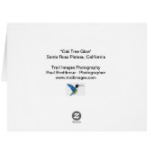 "オークの木白熱" (裏面横)