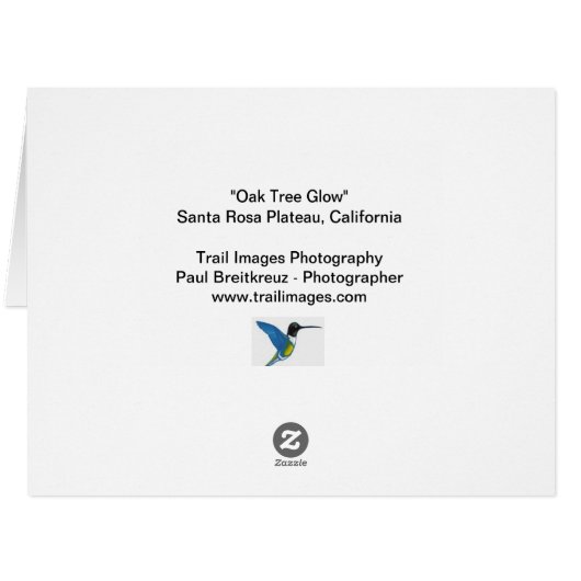 "オークの木白熱" (裏面横)