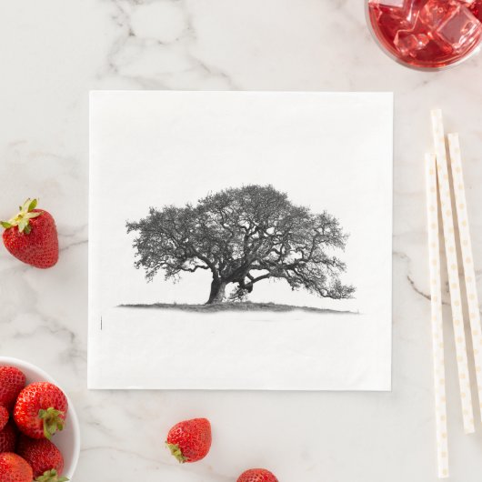 オークの木 (インサイチュ)