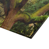 オークの木 カッティングボード (角)