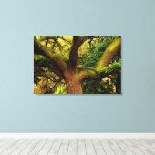 オークの木 キャンバスプリント (インサイチュ (ウッドフロア))