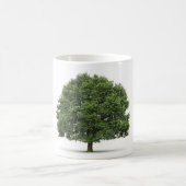 オークの木 コーヒーマグカップ (中央)