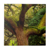 オークの木 タイル (正面)