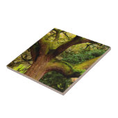 オークの木 タイル (側面)