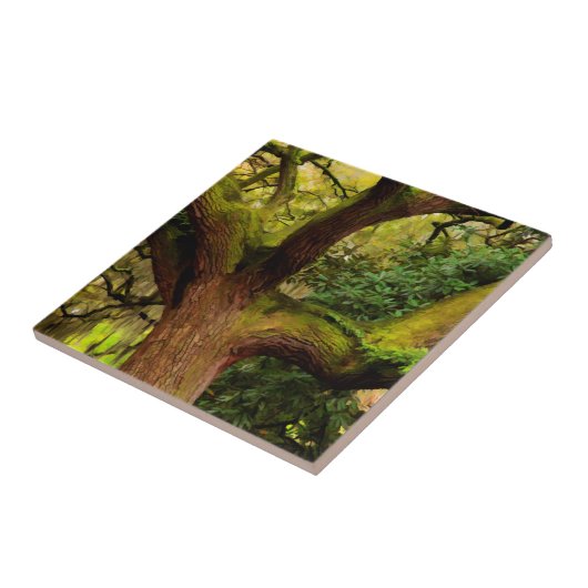 オークの木 タイル (側面)