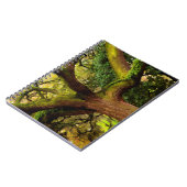 オークの木 ノートブック (左側)