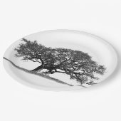 オークの木 ペーパープレート (アングル)