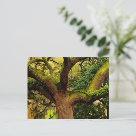 オークの木 ポストカード (スタンド正面)