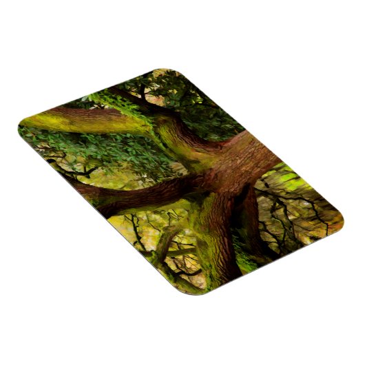 オークの木 マグネット (右側)