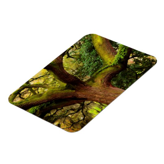 オークの木 マグネット (左側)