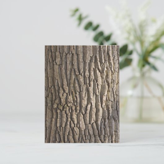 オークの樹皮、アシャフェンバーグ、フランソニア、バイエルン、 ポストカード (スタンド正面)