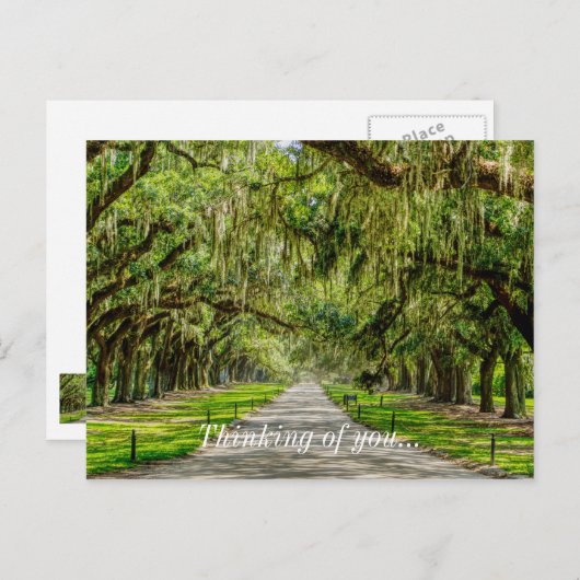 オークの美考えるしい通り ポストカード (正面/裏面)