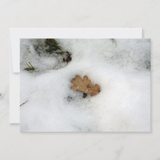 オークの葉が雪のホリデーカードに横たわる シーズンカード (正面)