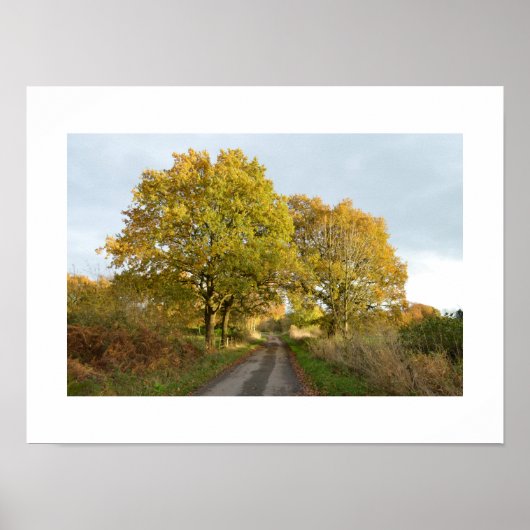 オークの間:田舎のチェシャ ポスター (正面)