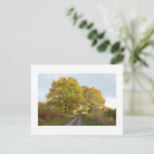 オークの間：田舎のチェシャ ポストカード (スタンド正面)