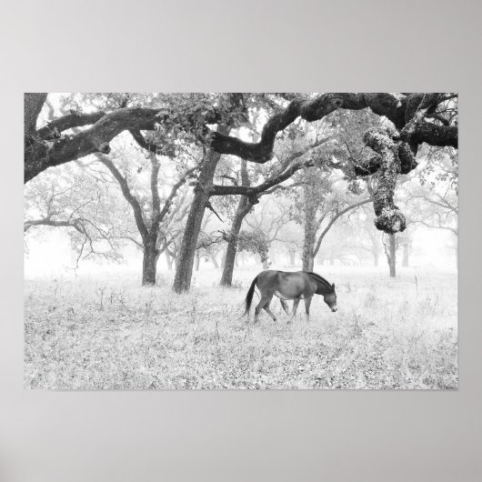 オークの霧が立った野原の馬 ポスター (正面)