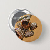 オークアコーンキャップ 缶バッジ (正面&裏面)