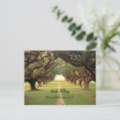 オークアレイニューオーリンズポストカード ポストカード (スタンド正面)