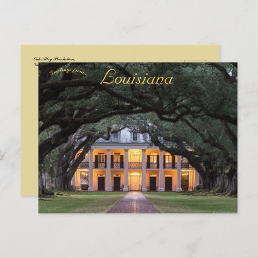 オークアレー プランテーション ヴァシェリ ルイジアナ州 ポストカード (正面/裏面)