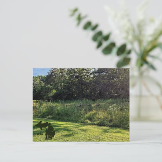 オークウッドメトロパークターキーパスとロゴ ポストカード (スタンド正面)