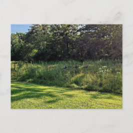 オークウッドメトロパークターキーパス ポストカード