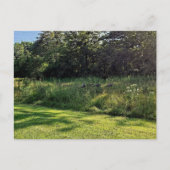 オークウッドメトロパークターキーパス ポストカード (正面)