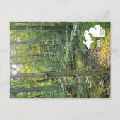 オークウッドメトロパークトレイルサマーフォレストとロゴ ポストカード (正面)