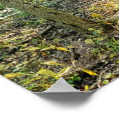 オークウッドメトロパークトレイルポスターサマーフォレスト ポスター (角)