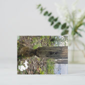 オークウッドメトロパークビーバートレイルとロゴ ポストカード (スタンド正面)