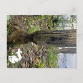 オークウッドメトロパークビーバートレイルとロゴ ポストカード (正面)