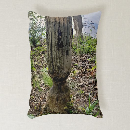 オークウッドメトロパークビーバートレイル アクセントクッション