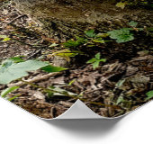 オークウッドメトロパークビーバートレイル ポスター (角)