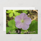 オークウッドメトロパークワイルドゼラニウム文字 ポストカード (正面/裏面)