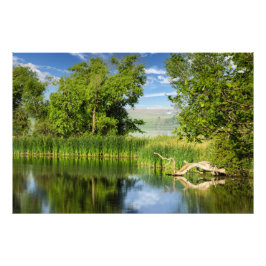 オークウッドレイクス州パークサウスダコタプリント フォトプリント