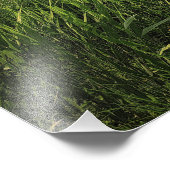 オークウッドレイクス州パークサウスダコタ フォトプリント            (角)